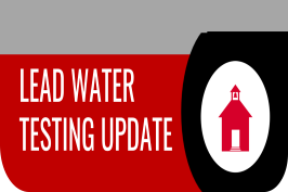  Lead Testing